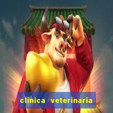 clinica veterinaria cuidar betim